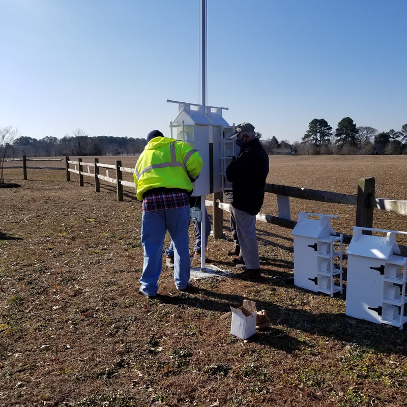 Installing More Birdhouses