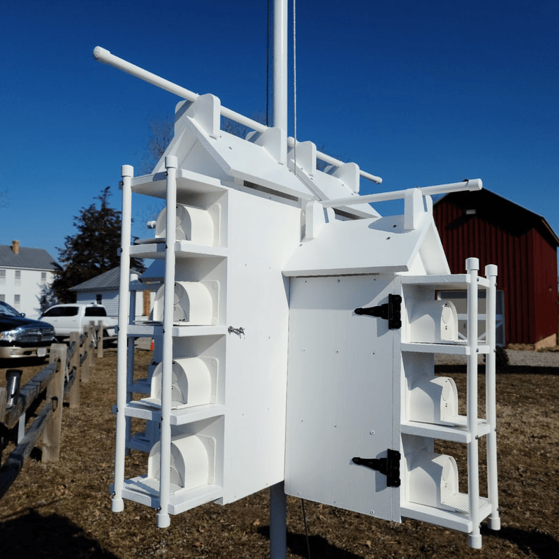 Completed Birdhouse on the Pole