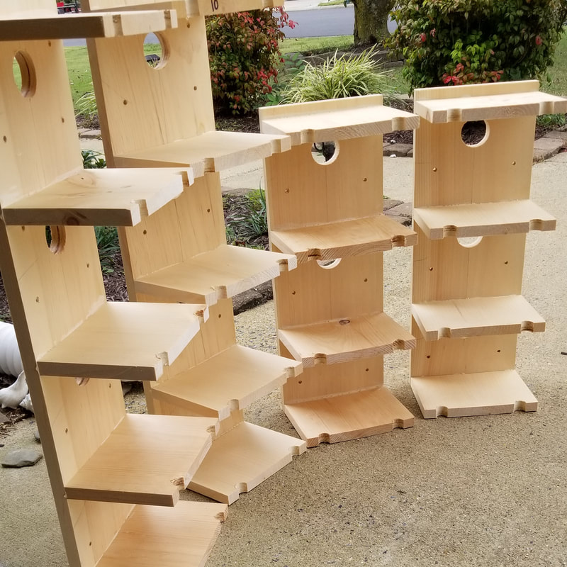 Building the Porches (Front)