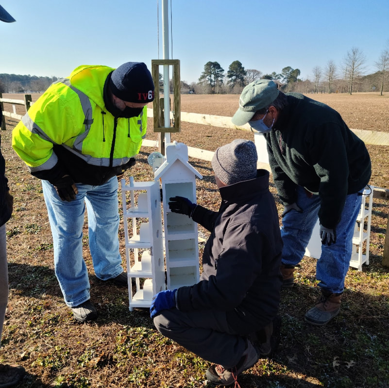 Drilling Sections of Birdhouses