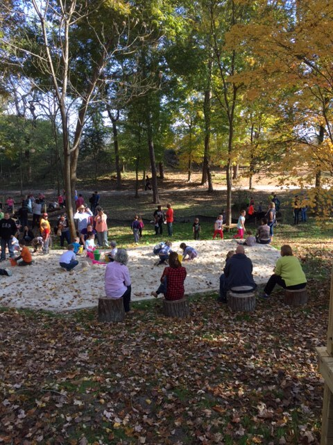 Natural Playscape 28