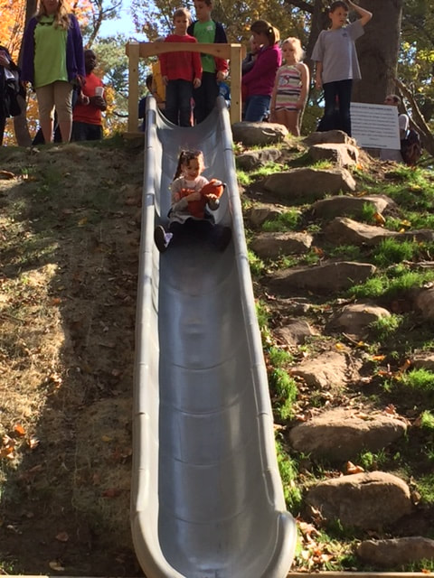 Natural Playscape 19