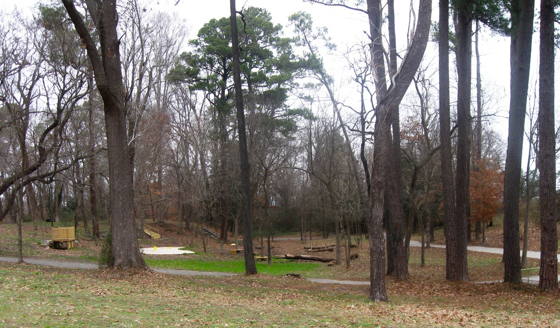 Natural Playscape Trees