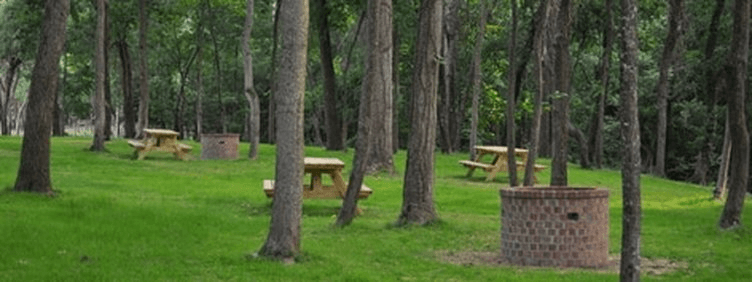 Picnic Area